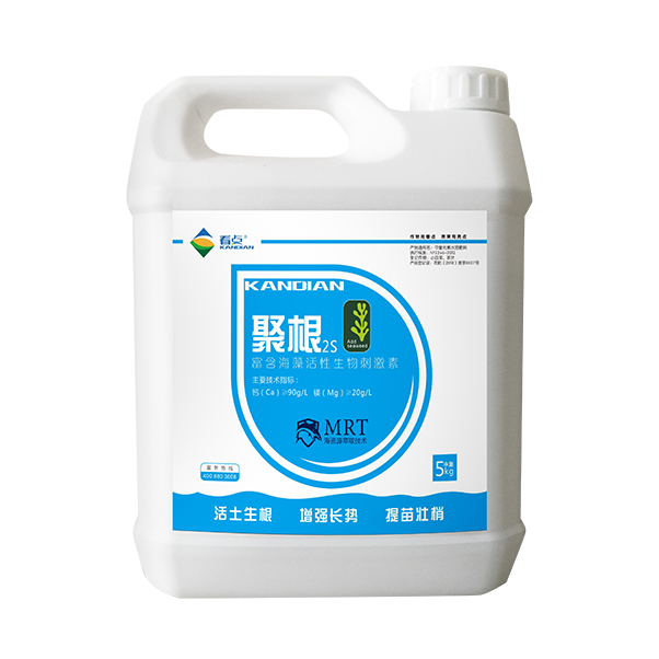聚根2S