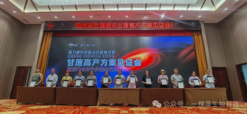 积势而行 顺势而发！记宜州甘蔗悬浮肥大型见证会