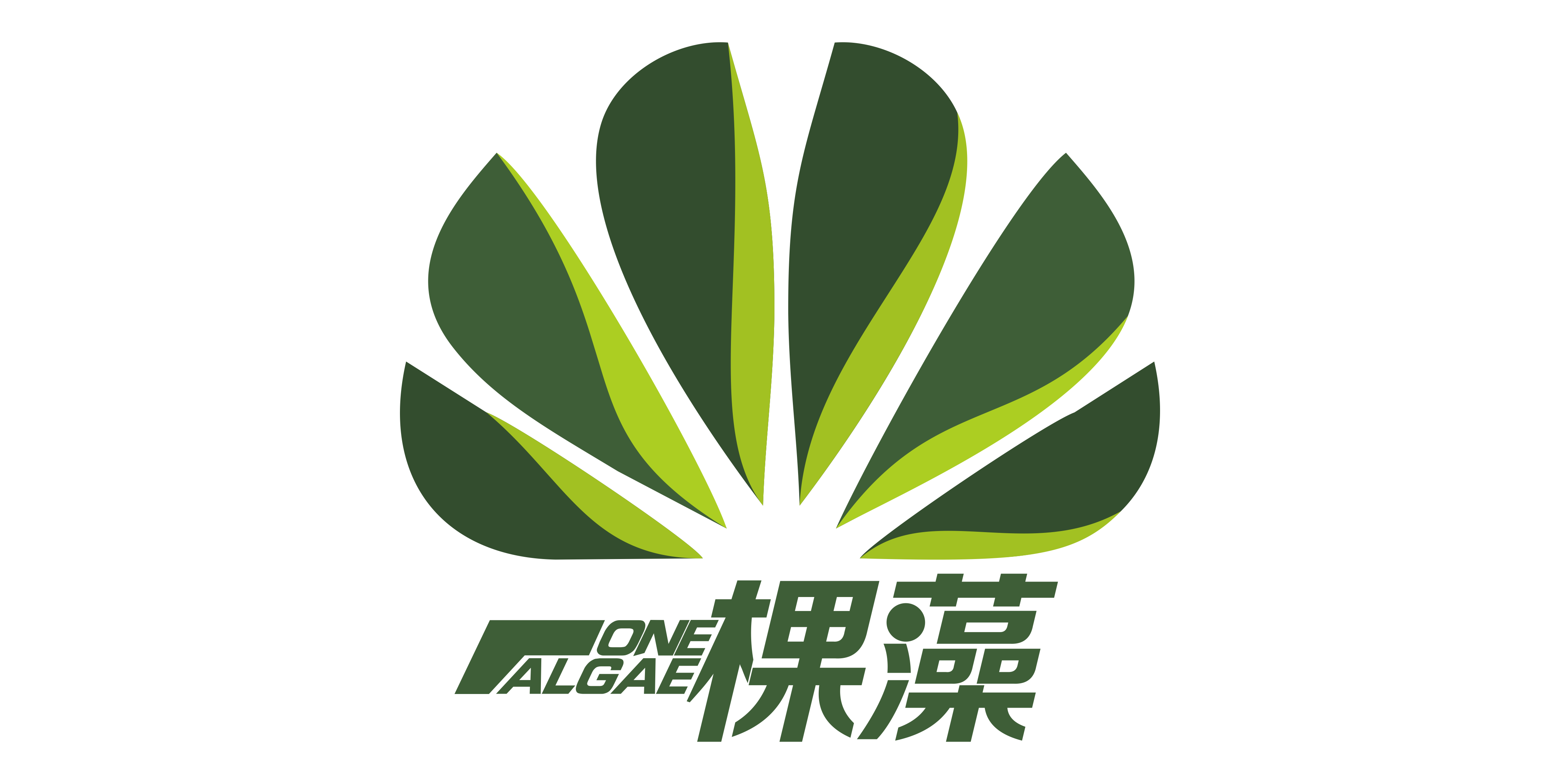 青岛一棵藻生物科技有限公司